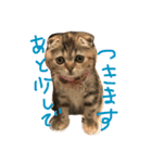 チュティジちゃん（個別スタンプ：7）