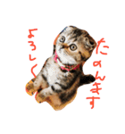 チュティジちゃん（個別スタンプ：8）