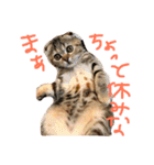 チュティジちゃん（個別スタンプ：12）