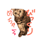 チュティジちゃん（個別スタンプ：15）