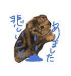 チュティジちゃん（個別スタンプ：16）