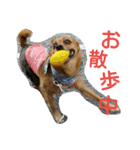 雑種のむーやん（個別スタンプ：23）