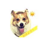 かわいいりょうたろう（個別スタンプ：1）