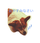かわいいりょうたろう（個別スタンプ：7）