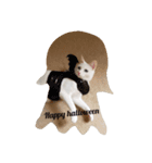 fumifumi 1（個別スタンプ：5）