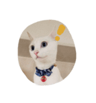 fumifumi 1（個別スタンプ：6）