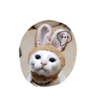 fumifumi 1（個別スタンプ：8）