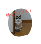 すもっち（個別スタンプ：4）