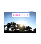なぉ。スタンプ(1)（個別スタンプ：1）