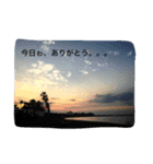 なぉ。スタンプ(1)（個別スタンプ：3）