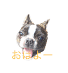 愉快なコンビ♡アル＆ロディ（個別スタンプ：3）