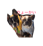 愉快なコンビ♡アル＆ロディ（個別スタンプ：14）