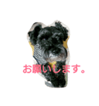 ある君♪スタイル♪（個別スタンプ：2）
