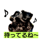 ある君♪スタイル♪（個別スタンプ：13）