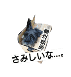 ある君♪スタイル♪（個別スタンプ：16）