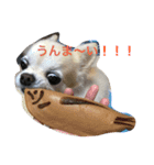 きもち犬（個別スタンプ：3）