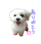 marubin（個別スタンプ：1）