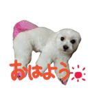 marubin（個別スタンプ：2）