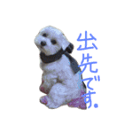 marubin（個別スタンプ：4）
