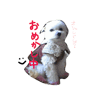 marubin（個別スタンプ：5）