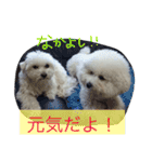 marubin（個別スタンプ：12）