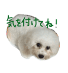 marubin（個別スタンプ：17）