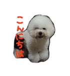 marubin（個別スタンプ：22）