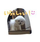 marubin（個別スタンプ：24）