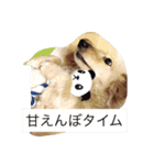 ワンコ暮らし（個別スタンプ：8）