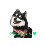 ブラックタンポメ（個別スタンプ：1）