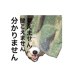 きなこあんこの日常（個別スタンプ：29）