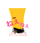 きなこあんこの日常（個別スタンプ：39）