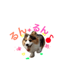 きなこあんこの日常（個別スタンプ：40）