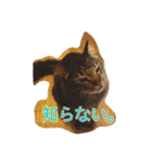 ロンロン ！（個別スタンプ：3）