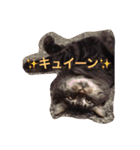 ロンロン ！（個別スタンプ：4）