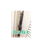 ロンロン ！（個別スタンプ：9）