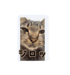 ロンロン ！（個別スタンプ：14）
