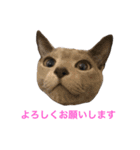 うちのねこ ロシアンブルー（個別スタンプ：10）