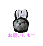 うちのねこ ロシアンブルー（個別スタンプ：14）