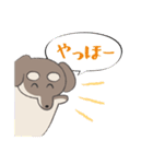 まろまゆチワックス（個別スタンプ：1）