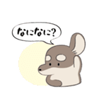 まろまゆチワックス（個別スタンプ：2）