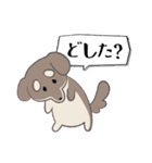 まろまゆチワックス（個別スタンプ：3）