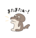 まろまゆチワックス（個別スタンプ：5）