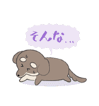 まろまゆチワックス（個別スタンプ：7）