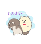 まろまゆチワックス（個別スタンプ：9）