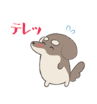 まろまゆチワックス（個別スタンプ：20）