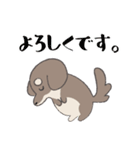 まろまゆチワックス（個別スタンプ：23）