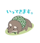 まろまゆチワックス（個別スタンプ：26）