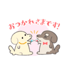 まろまゆチワックス（個別スタンプ：29）