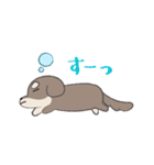 まろまゆチワックス（個別スタンプ：36）